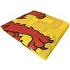 NWFlags Outdoor Heavy Scotland Rampant Lion Flag 5ft x 3ft