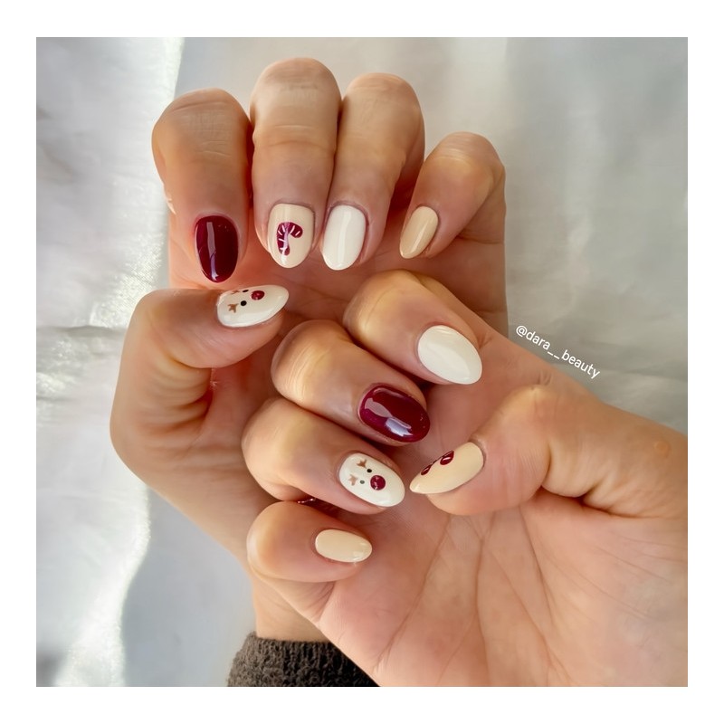 Dara Beauty 2024 December Art of the MonthRudolph Nails❣ -