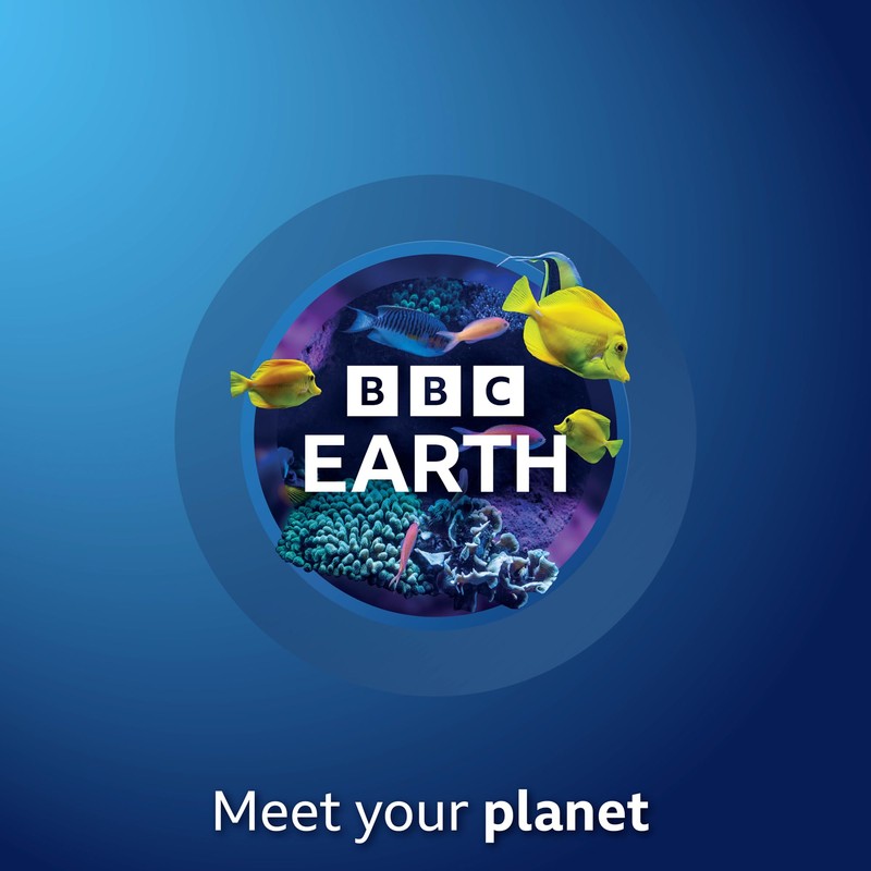 BBC Earth Grow & Discover Crystal Aquarium, Grow Colorful Cave-Like