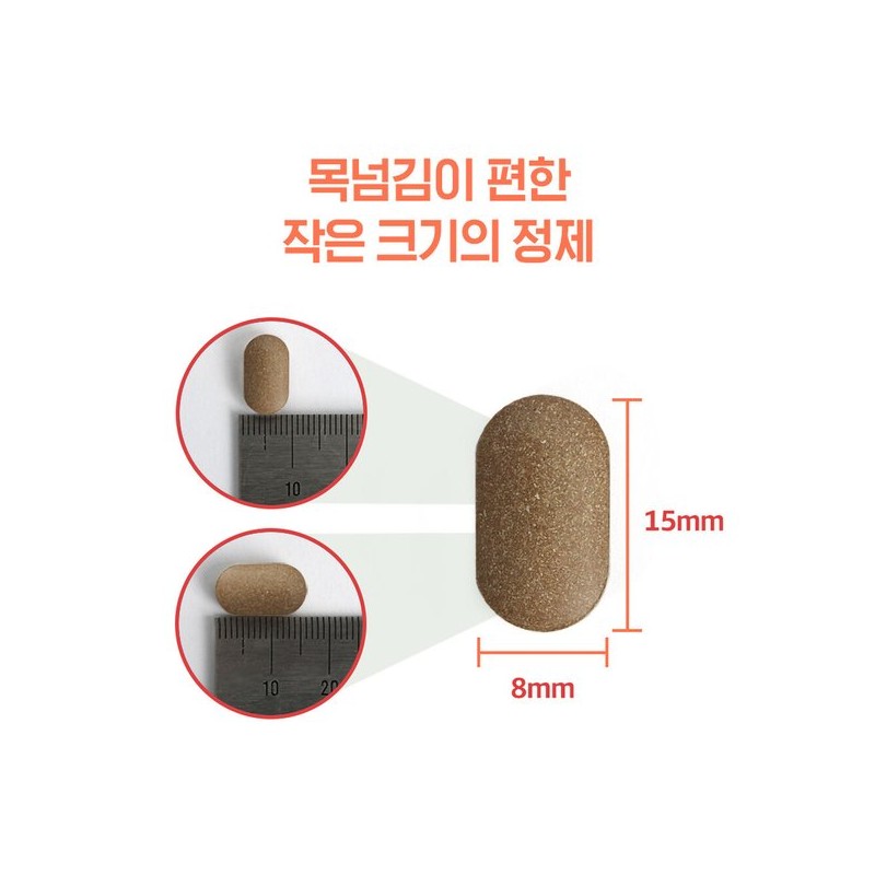 참굿즈 베르베린 매자나무열매 정 60정 1통 / Berberine 버베린 버버린