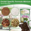 Orchid Potting Mix for Repotting 1 Quart, Mixture of Moss