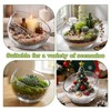 2Pack Slant Cut Bowl, Glass Terrarium, Glass Fish Bowl Vase,