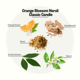 Apotheke Signature Scented Candles for Home, Orange Blossom Neroli - 10.5 oz - Soy Wax, Non Toxic, Large Jar White - Luxury Candle Gifts for Women & Men - Sandalwood, Musk, Neroli, and Orange