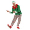ReneeCho Men Santa Candy Elf Christmas Costume, Medium Green