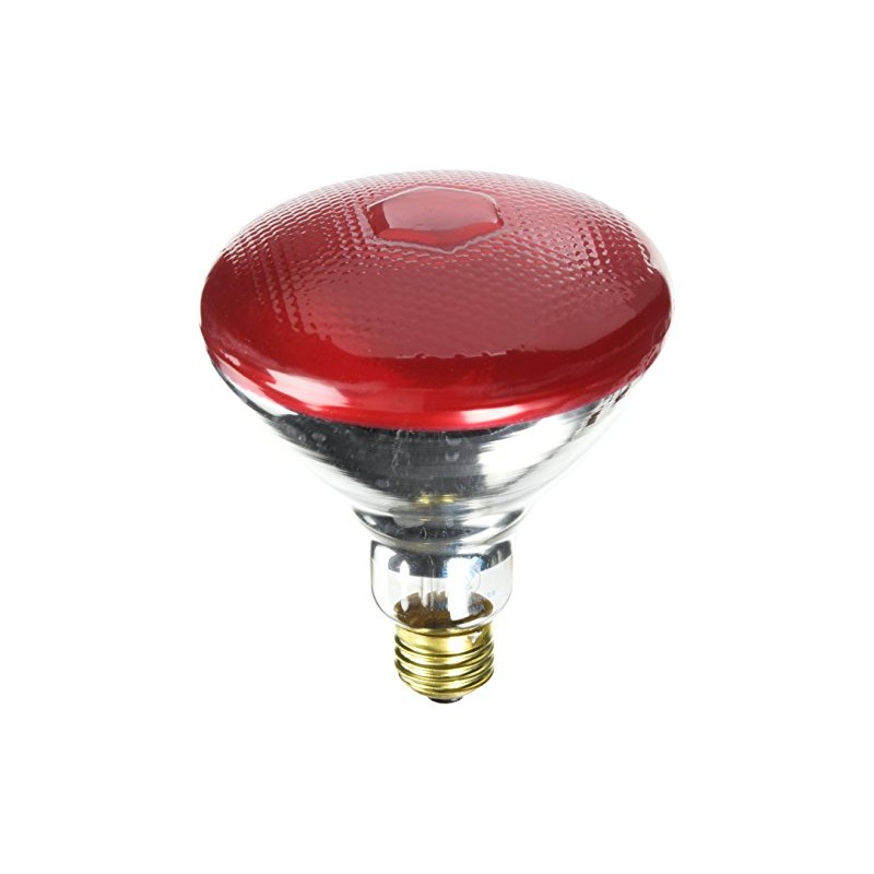 Westinghouse 0441000, 100 Watt, 120 Volt Incandescent BR38 Light Bulb-2000