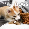 ALL FOR PAWS Pet Plush Rabbit Toys with Squeaker, Durable