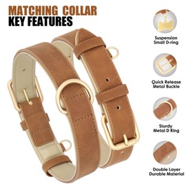 Beirui Soft Padded Leather Dog Collar and Leash Set, Heavy Duty Dog Leash and Collar Set with Metal Buckle, Breathable Dog Collars with 4FT Leather Dog Leash for Small Medium Large Dogs,Brown,S