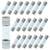 Jiozermi 20 Pcs 5x20mm 1A 250V T1AL250V Slow-Blow Glass Fuses,