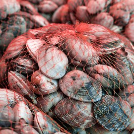 Amytalk Seafood Boil Bags 100 PCS Clam Bake Shellfish 22Inch Cooking Mesh Plastic Bags