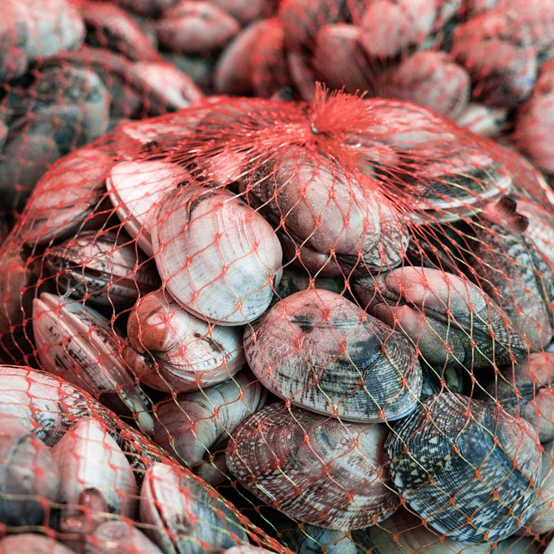 Amytalk Seafood Boil Bags 100 PCS Clam Bake Shellfish 22Inch