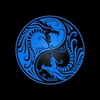 CafePress Blue Yin Yang Dragons with Black Back Square Car
