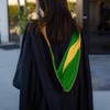 Endea Graduation Masters Hood for Business, Accounting, Commerce, Industrial, Labor
