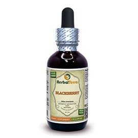 BlackBerry (Rubus Armeniacus) Tincture, Dried Root Liquid Extract (Brand Name: HerbalTerra, Proudly Made in USA) 2 fl.oz (60 ml)