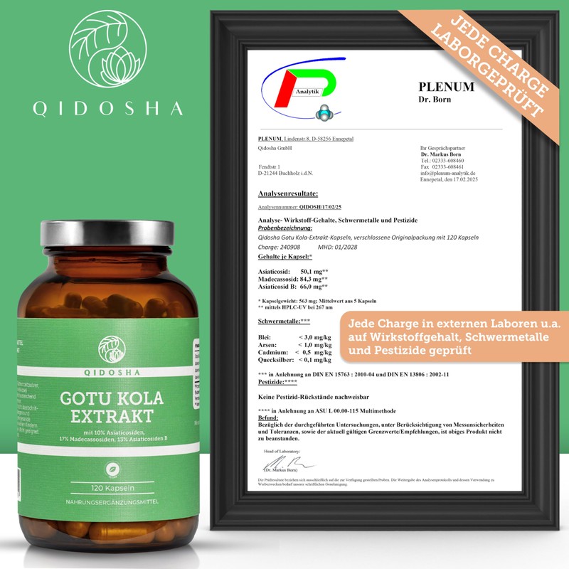 QIDOSHA Gotu Kola 60:1 Extract, with 40% Total Asian Cosides