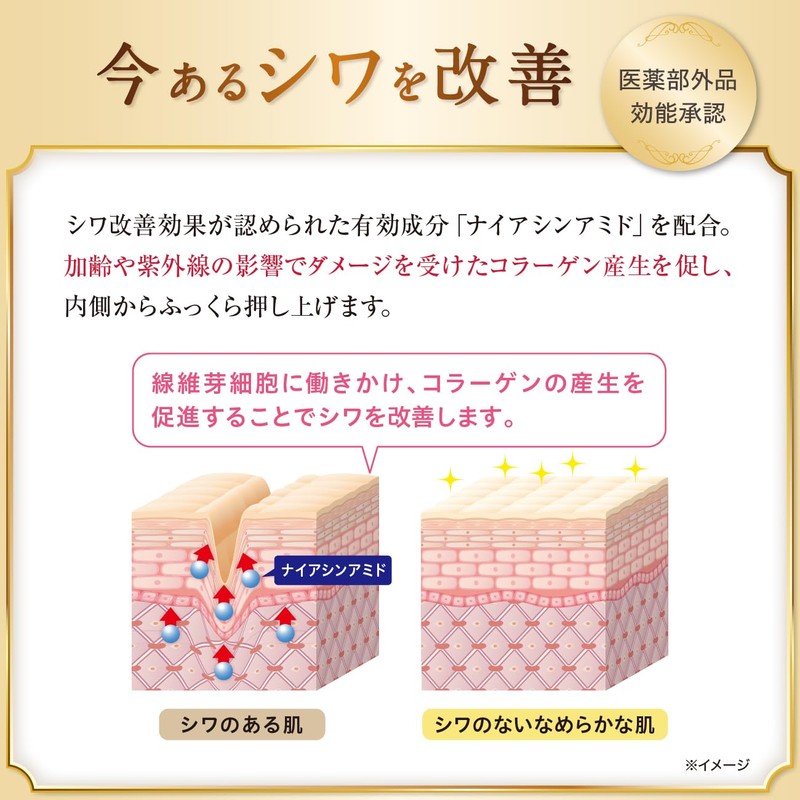 SEAC Setagaya Natural Foods Wrinkle Improvement All-in-One Wrinkle Improvement Moisturizing
