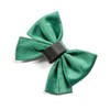 Fluffy Tailers Emerald Green Velvet Dog Collar Bowtie – Comfortable