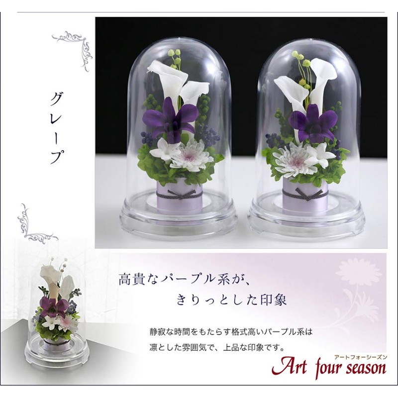 Art Four Seasons ● 2 Color vs. Design SET Grape