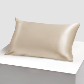 Waterlily 100% Mulberry Silk Pillowcase for Hair and Skin Hidden Zipper Pillowcases 50x75 Both Sides 19 Momme Charmeuse Soft Pure Natural Organic Luxury Pillow Case Cover (1, Champagne with Zip)