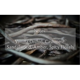 Avivni Velvet Vanilla - Unisex Luxury Fragrance Oil, Clean Ingredients Perfume RollOn, Dark & Sophisticated - Not Gourmand(0.24oz - 7ml)