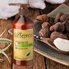 Savannah Hair Theraphy - Shea Butter Conditioner - 16.9 oz
