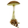 HAMBURGER WEIHNACHTSKONTOR® - Christmas tree decoration mushroom or common umbrella