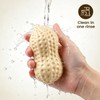 Coconut Oil Peanut Squishy - Stress Relief Moldable Peanut Squishies