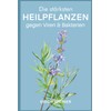 Die stärksten Heilpflanzen gegen Viren & Bakterien: Ein starkes Immunsystem
