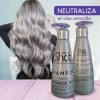Kolor Shot Profesional Shampoo matizador plata kolor shot para cabello