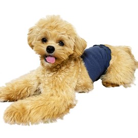 Panfree Pancia Souffle Silk Belly Wrap for Pets, Silk Belly Wrap, For Small Dogs, Cold Protection, 65% Silk, For Dogs, Cats, Dog Clothes, Size M, Yellow x Yellow