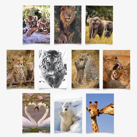 90210 Exotics – 10 Assorted for All Occasions Greeting Cards, 5x7 inch (A7), Folded, Blank Inside, Exotic Animals Collection 1