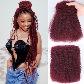 14 Inch Afro Kinkys Curly Human Hair Bulk for Permanent Micro Locs/Twists/Braids/Repair Locs Afro Kinky Curly Bulk Human Hair 99J Burgundy Red Color 50g/pack