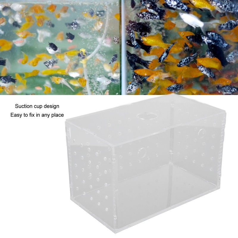 Fish Breeder Box High Transparency Acrylic Hatchery Incubator Tank with