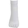 Cedar Brewex Wacoal BCR610 5-Toe Short Socks, Antibacterial, Deodorizing (Toe