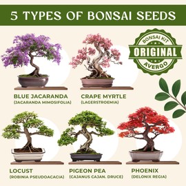 DIY Bonsai Tree Kit for Beginners – 5X Unique Japanese Bonzai Trees | Complete Indoor Bonsai Starter Kit for Growing Bonsai Plants with Tools & Planters – DIY Gardening Gifts for Women & Men