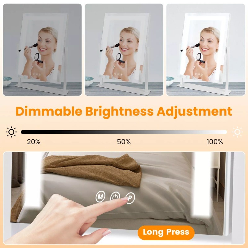 Laromni Vanity Mirror with Dimmable Light Brightness Mirror Smart Touch