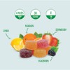 Bonelle Sugar Free Fruit Jelly Candy | 1 Pound Bag