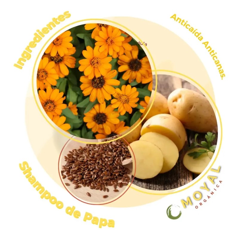 Shampoo De Papa 950 Ml Nutritivo, Reparador Sheló Nabel
