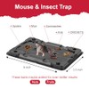 Glue Mouse Traps Indoor for Home -12 Pack Sticky MouseTraps