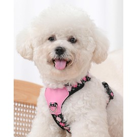 Black xs No Pull Dog Harness with 2 Leash Clips, Easy Walk Pet Harness Small Sized Dog, Adjustable Dog Vest Harness (Black, XS)