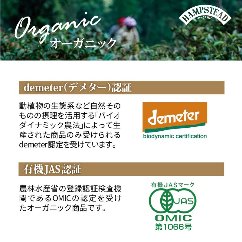 Hampstead Tea London Organic Darjeeling 20 Sachets tea bags