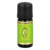 PRIMAVERA Rosemary Camphor Organic 100% Natural Essential Oil, 10 ml