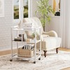 HITNET White Bar Cart, Home Bar Serving Cart, Kitchen Trolley