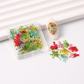 Dried Flowers Nail Art, Colorful Small Natural Floral Dried Flower Decals 3D Mini Real Natural Dried Flowers Nail Art Supplies Spring Summer Acrylic Nails Nail Accessories for Manicure Makeup DIY