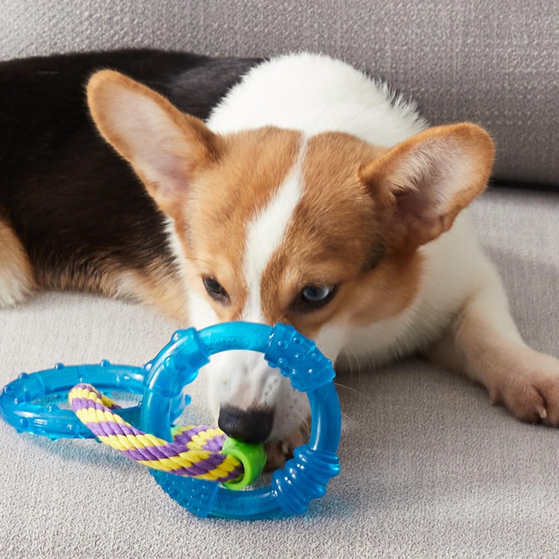 Petstages Orka Dental Links Dog Chew Toy
