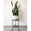 11.8 inches Diameter Tall Metal Plant Stand for Indoor or