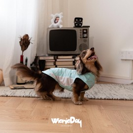 WienieDay Dachshund Dog Cooling Vest, Breathable Summer Dog Cooling & Quick-Dry Shirt for Outdoor Activities,Mini Dachshund Lightweight Clothes, Vest Small Dogs (Blue, XL (22-27 lbs))