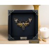 vinatimes Real Death Head Moth Acherontia Black Frame Skull Butterfly