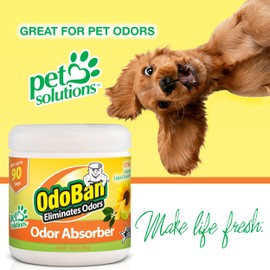 OdoBan Solid Odor Absorber Eliminator for Home and Small Spaces, Citrus Scent, 14 Ounces Each, 9-Pack Yellow