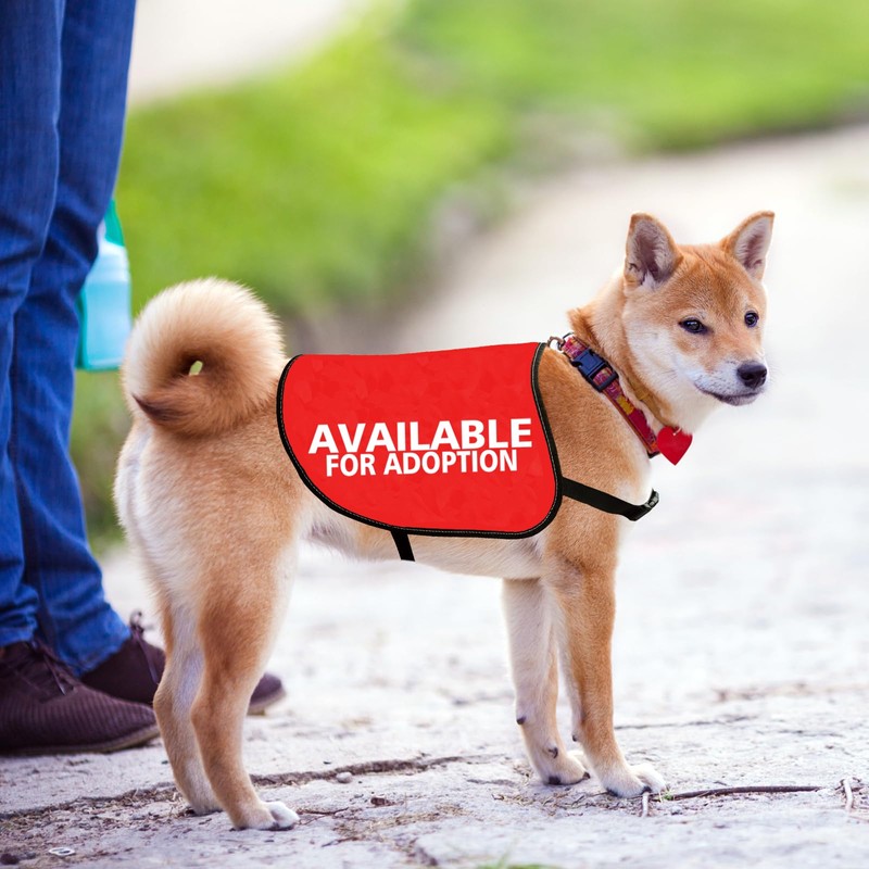 JXGZSO Adopted Dog Available for Adoption Dog Jacket Vest Adopt
