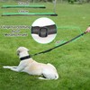 ILII Dog Lead (Black, 140)